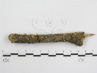 登錄號:F0007453藏品圖，第1張