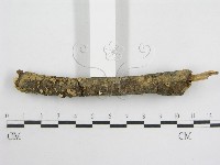 登錄號:F0007453藏品圖，第3張