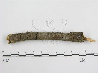 登錄號:F0007453藏品圖，第5張