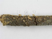 登錄號:F0007453藏品圖，第6張