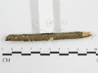 登錄號:F0007454藏品圖，第3張