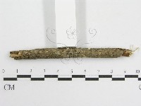 登錄號:F0007454藏品圖，第4張