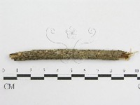 登錄號:F0007454藏品圖，第5張