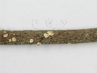 登錄號:F0007454藏品圖，第7張