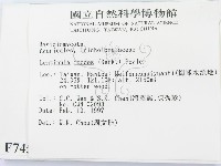 香菇	藏品圖，第2張