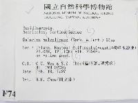 登錄號:F0007458藏品圖，第2張