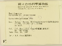 登錄號:F0007461藏品圖，第2張