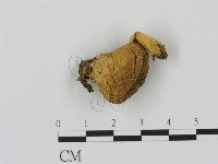 登錄號:F0007461藏品圖，第1張