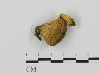 登錄號:F0007461藏品圖，第3張