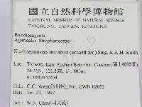 登錄號:F0007462藏品圖，第2張