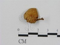 登錄號:F0007462藏品圖，第3張