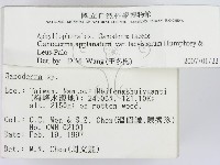 登錄號:F0007463藏品圖，第2張