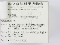 登錄號:F0007463藏品圖，第3張