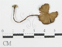 登錄號:F0007464藏品圖，第1張