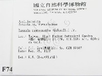 登錄號:F0007467藏品圖，第2張