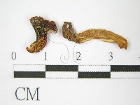 登錄號:F0007467藏品圖，第3張