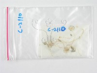 登錄號:F0007469藏品圖，第1張