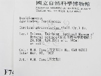 登錄號:F0007470藏品圖，第2張