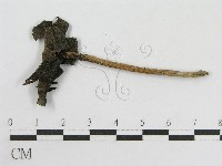 登錄號:F0007470藏品圖，第1張