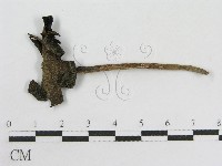 登錄號:F0007470藏品圖，第3張
