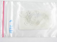 鬼傘屬藏品圖，第3張