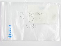 鬼傘屬藏品圖，第3張