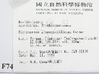 登錄號:F0007473藏品圖，第2張