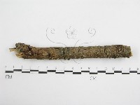 登錄號:F0007473藏品圖，第1張