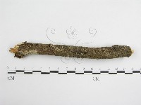 登錄號:F0007473藏品圖，第3張