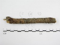 登錄號:F0007473藏品圖，第5張