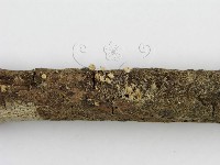 登錄號:F0007473藏品圖，第6張