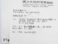 登錄號:F0007474藏品圖，第2張