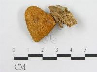 登錄號:F0007474藏品圖，第3張