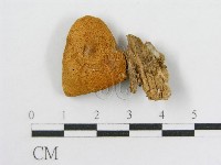 登錄號:F0007474藏品圖，第4張