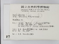 栓菌屬藏品圖，第2張