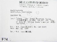 鬼傘屬藏品圖，第2張