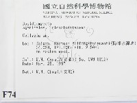 登錄號:F0007479藏品圖，第2張