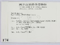 小菇屬藏品圖，第2張