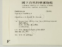 登錄號:F0007481藏品圖，第2張