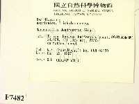 登錄號:F0007482藏品圖，第2張