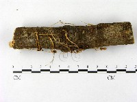 登錄號:F0007482藏品圖，第5張