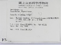 登錄號:F0007483藏品圖，第2張