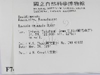 登錄號:F0007485藏品圖，第2張