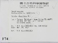 登錄號:F0007487藏品圖，第2張