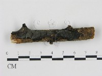 登錄號:F0007487藏品圖，第1張