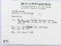 紅菇屬藏品圖，第2張