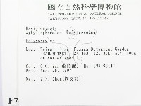 多孔菌屬藏品圖，第2張