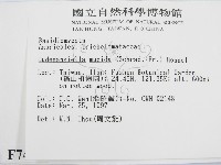 登錄號:F0007494藏品圖，第2張