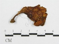 登錄號:F0007494藏品圖，第3張