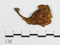 登錄號:F0007494藏品圖，第4張